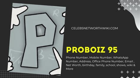 proboiz 95 whatsapp number